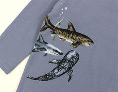 Name It troposphere haj top